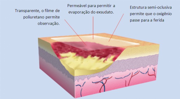 Bioclusive Filme Transparente